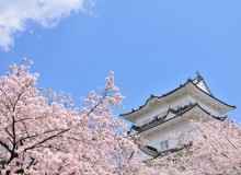 Discover Odawara - Metropolis Japan